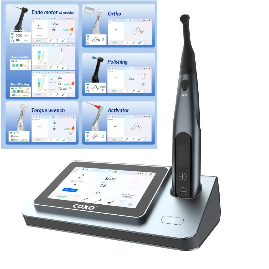 Endodonție